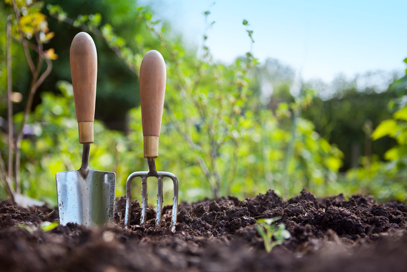 veggie-garden-istock-cjp-20170804