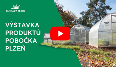 banner-video-vystavka