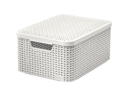 box úložný RATTAN 40x29x19cm (M) s víkem, STYLE2, PH KRÉM