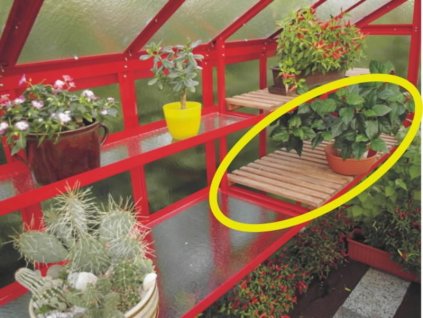Limes Pěstební stůl PRIMUS s dřevěným roštem 1,5 m