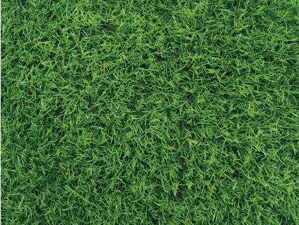 Umělý trávník Special Mat 2 m x 25 m