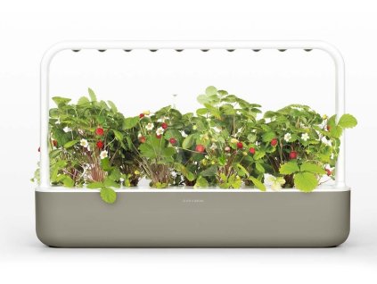 click grow smart 9 bezova
