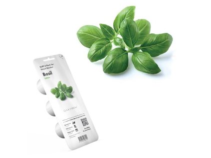 click and grow bazalka