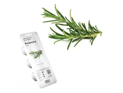 click and grow rozmaryn