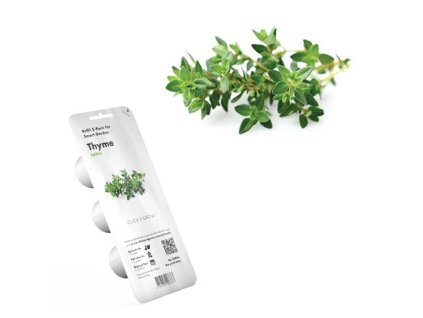 click and grow tymian