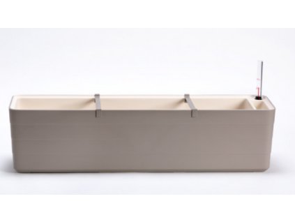 berberis taupe 80