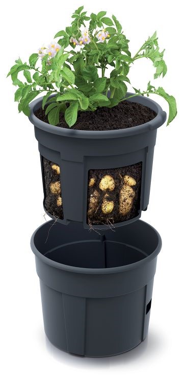 Květináč na pěstování brambor POTATO GROWER antracit 39,2 cm PRIZIE400-S433