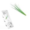 click and grow pazitka