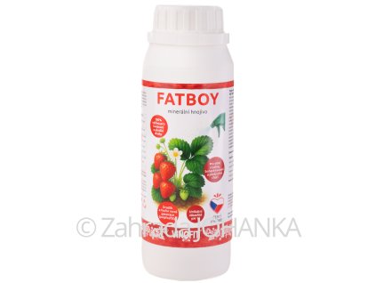 Fat Boy (200g)_1