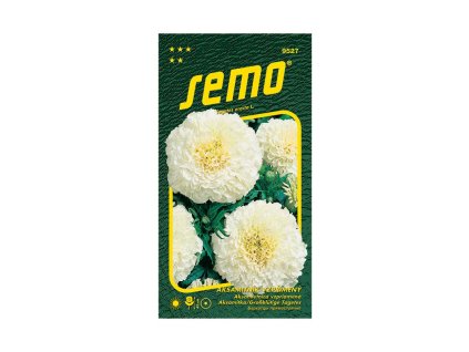 Aksamietnica vysoká KILIMANJARO WHITE