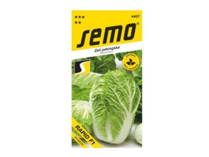Kapusta pekingská RAPID
