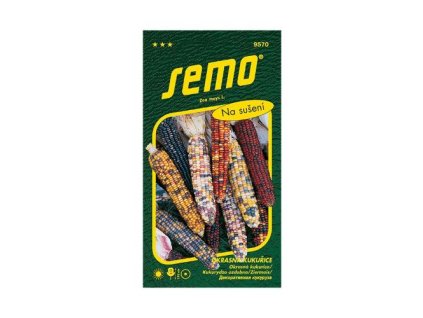 Kukurica okrasná MULTICOLOR