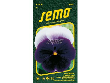 maceska zahradni velkokveta weseler eis blau lasur1