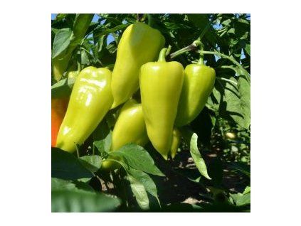 pcr paprika