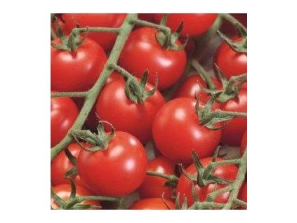 PARADAJKA CHERRY ČERVENÁ ´BIBI´