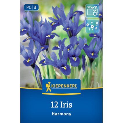 IRIS 'HARMONY' (KOSATEC)1