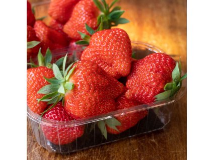 FRAGARIA 'LAMBADA' (JAHODA)_istock