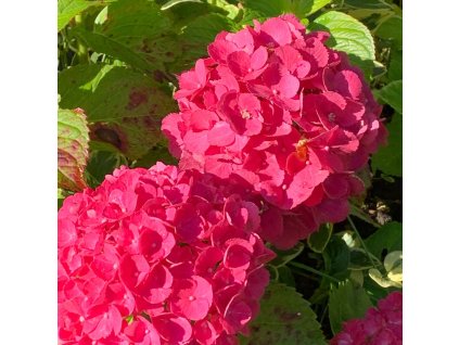 iStock 1341931427 modified e4f0acdc 2c3c 4d7c a355 7a33f37dd478