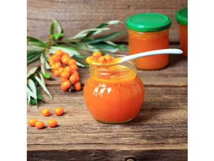 HIPPOPHAE RHAMNOIDES 'BOTANIKA' (RAKYTNÍK REŠETLIAKOVÝ)_istock