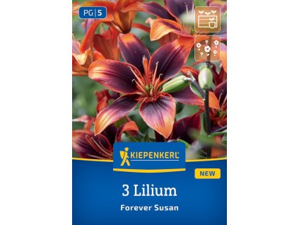 LILIUM 'FOREVER SUSAN' (ÁZIJSKÁ ĽALIA) Bruno