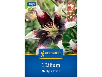 LILIUM 'NETTY'S PRIDE' (ÁZIJSKÁ ĽALIA) Bruno