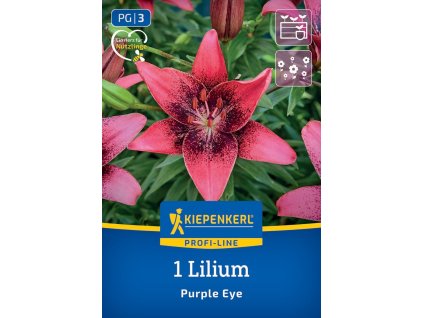 LILIUM 'PURPLE EYE' (ÁZIJSKÁ ĽALIA) Bruno