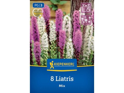 LIATRIS SPICATA – ZMES kiep