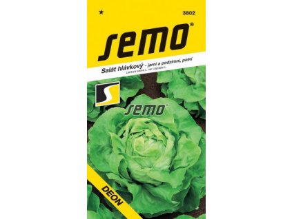 3802 semo zelenina salat hlavkovy deon 269x500