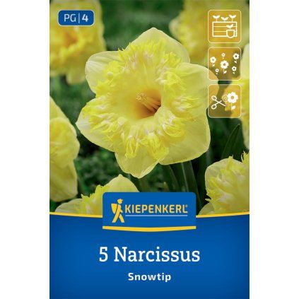 NARCISSUS PSEUDONARCISSUS 'SNOWTIP' (NARCIS)1