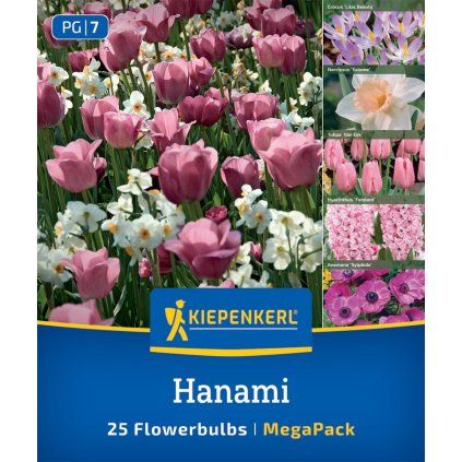 'HANAMI MIX' (CIBUĽOVINY)1