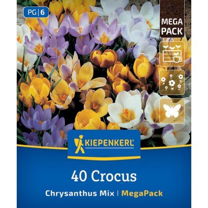CROCUS CHRYSANTHUS MIX MEGA PACK (KROKUS)1