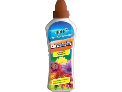 CHRYSANTEMY 1L