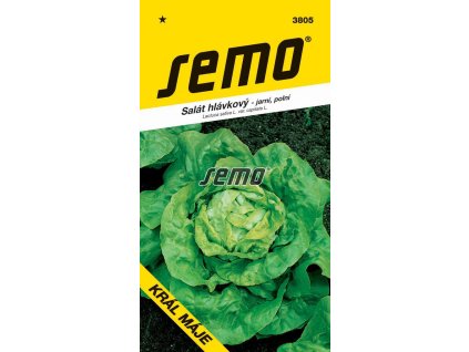 salat hlavkovy kral maje 1