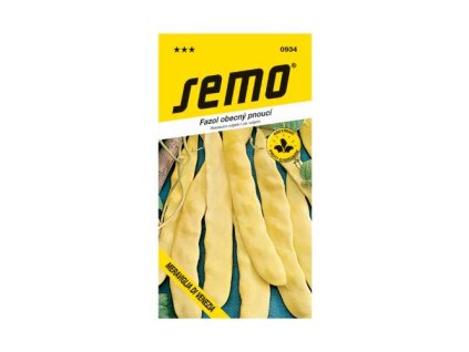 FAZUĽA KOLÍKOVÁ ´MERAVIGLIA DI VENEZIA´