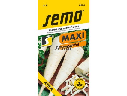 petrzel zahradni korenova atika1