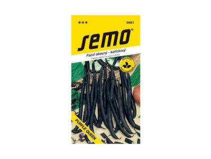 FAZUĽA KRÍČKOVITÁ ´PURPLE QUEEN´