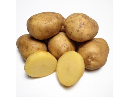 Zemiaková sadba Anuschka ist