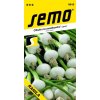 Cibuľa biela jarná ´RANILA´