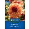 DAHLIA 'CREME DE COGNAC' bruno