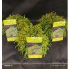 CHAMAECYPARIS PISIFERA 'SUNGOLD' kak1