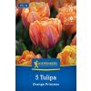 TULIPA 'ORANGE PRINCESS' (TULIPÁN)1
