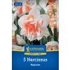 NARCISSUS PSEUDONARCISSUS 'REPLETE' (NARCIS)1