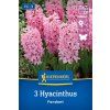 HYACINTHUS 'FONDANT' (HYACINT)_nebelung