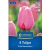 TULIPA 'PINK IMPRESSION' (TULIPÁN)1