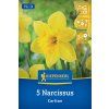 NARCISSUS PSEUDONARCISSUS 'CARLTON' (NARCIS)1