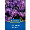 CROCUS 'RUBY GIANT' (KROKUS)