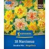 NARCISSUS MIX MEGA PACK (PLNOKVETÝ NARCIS)1