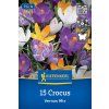 CROCUS VERNUS 'MIX' (KROKUS VEĽKOKVETÝ)1