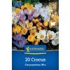 MEGA PACK CROCUS CHRYSANTHUS 'MIX' _nebelung