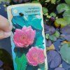 NYMPHAEA 'JAMES BRYDON kak